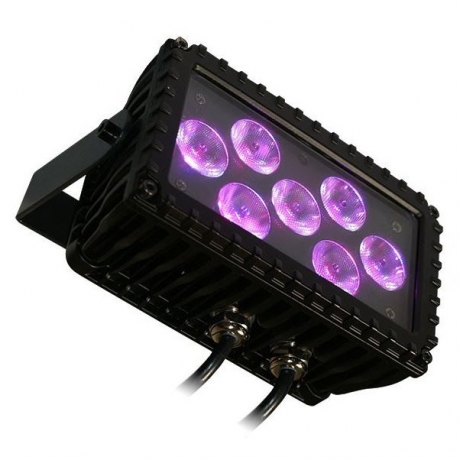 NEW Blizzard Motif Sketch