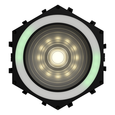 NEW Blizzard Nexys WW