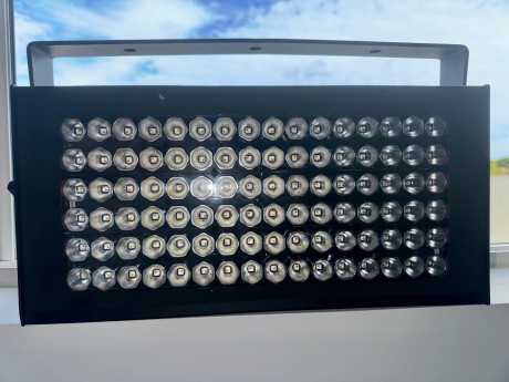 TMB Solaris LED Flare (Pkg of 6)