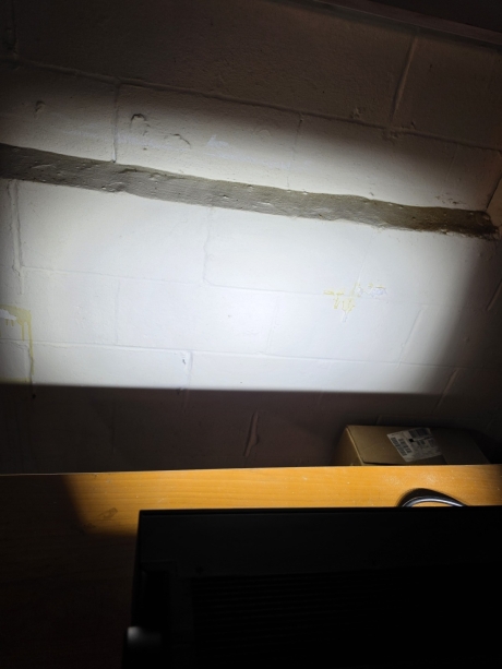 Elation Chorus Line 8