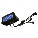 NEW Blizzard Motif Sketch