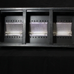 Altman 3-Cell Ground Cyc