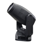 Elation Artiste Rembrandt