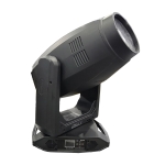 Elation Artiste Rembrandt