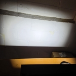 Elation Chorus Line 8